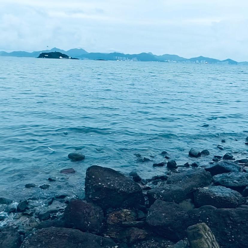 雾词