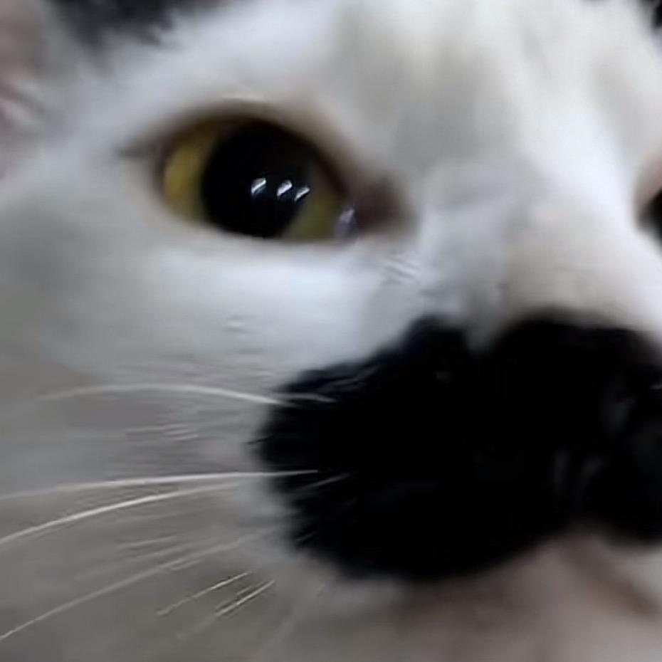 大珞（诛仙世界）