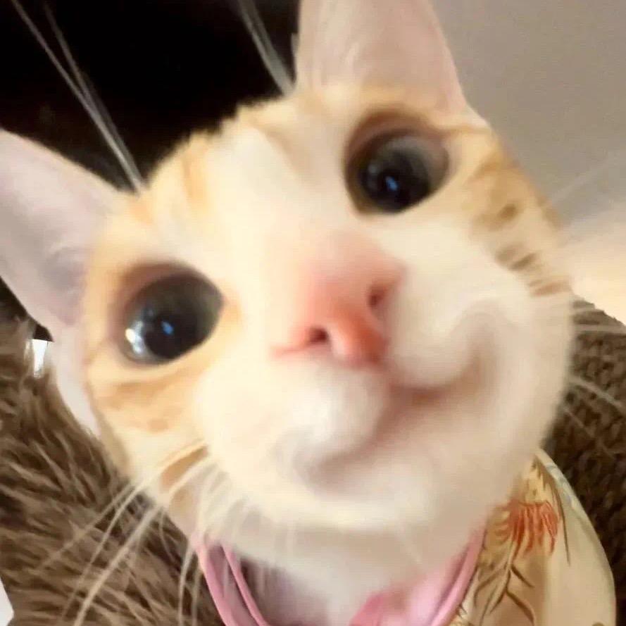 蜂蜜黄油味香脆薯条