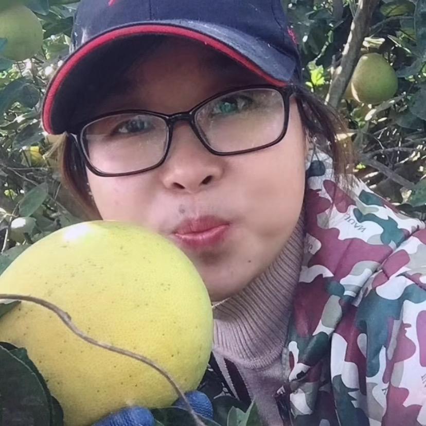 横龙正宗老树果金兰柚一家人果业直销点。