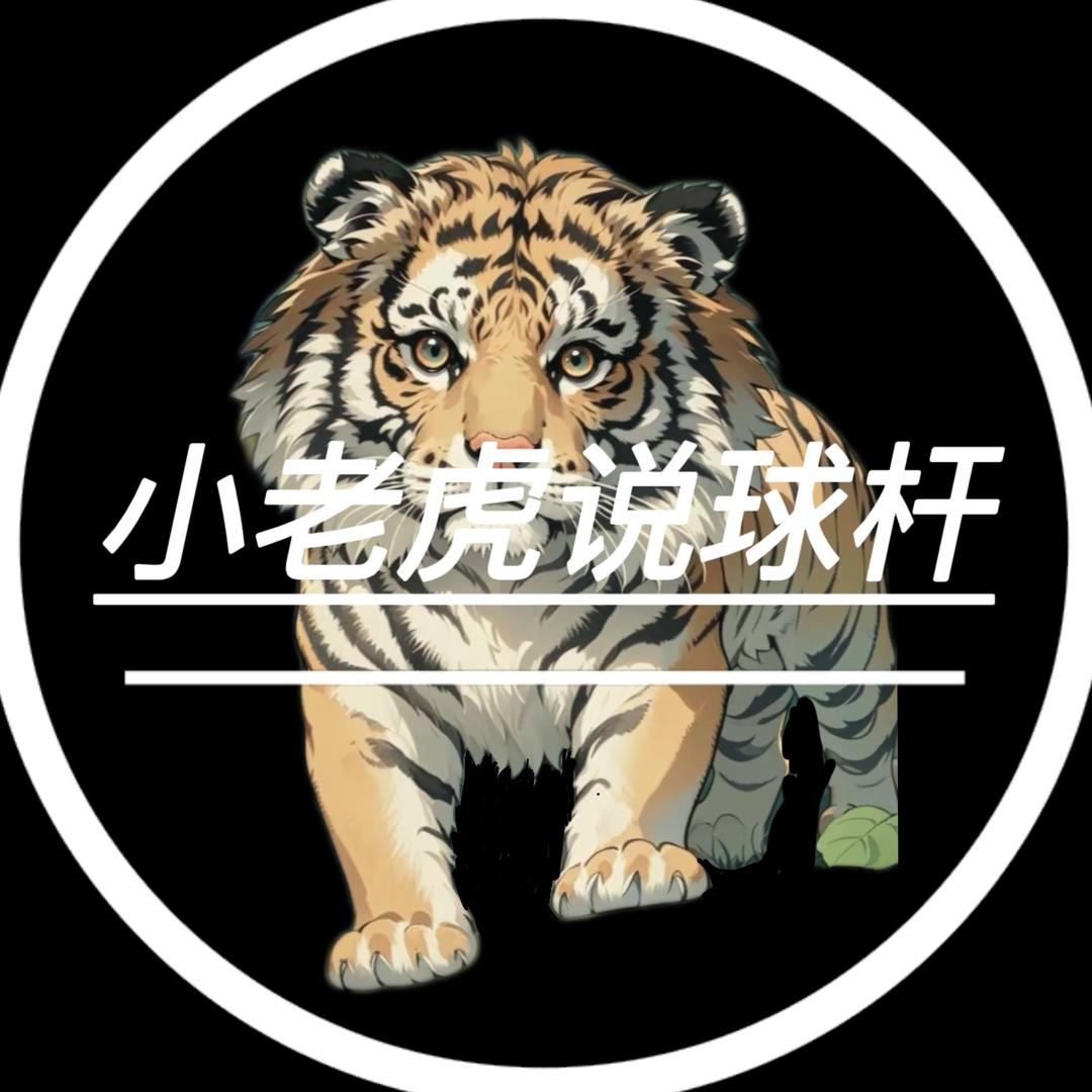 小老虎说球杆🎱