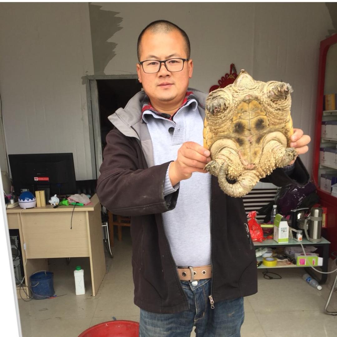 光头哥