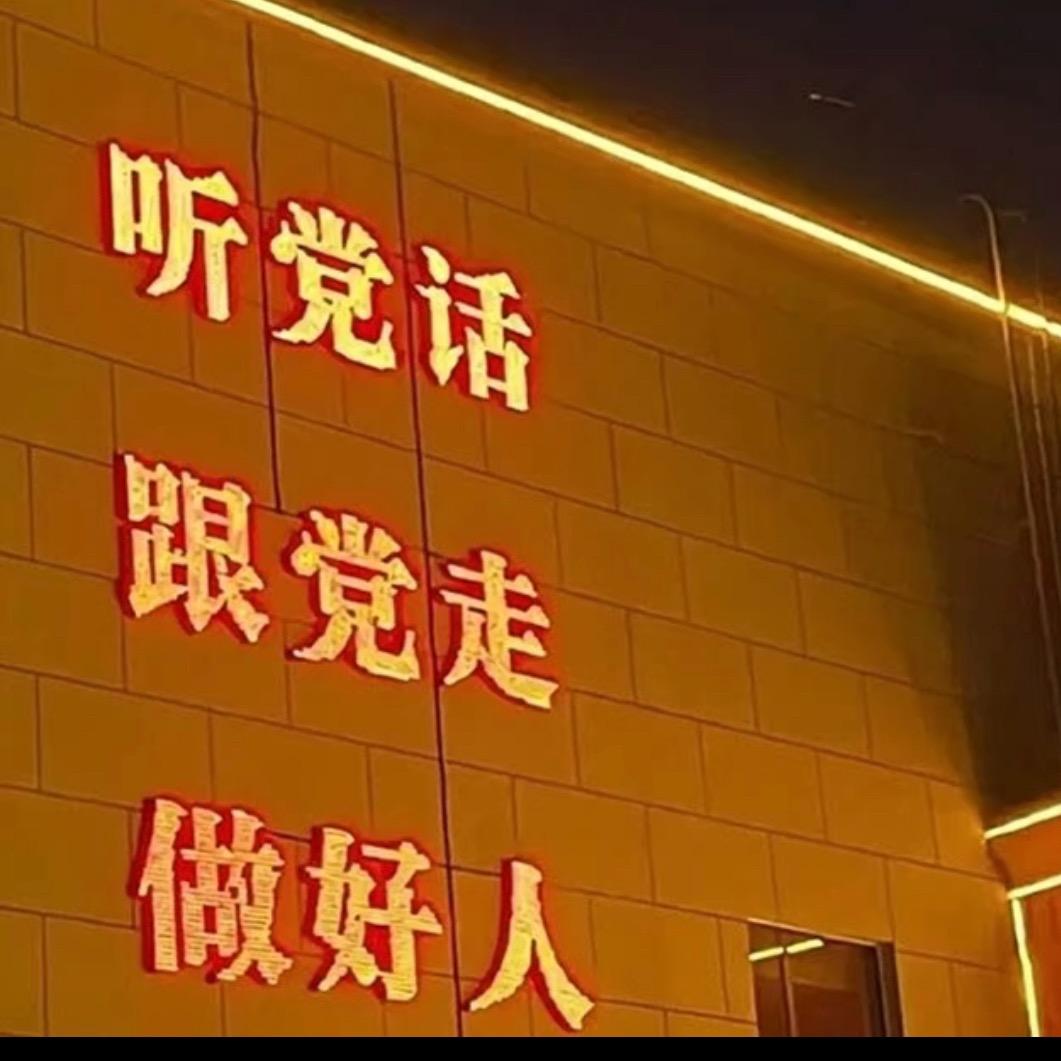 海鸥