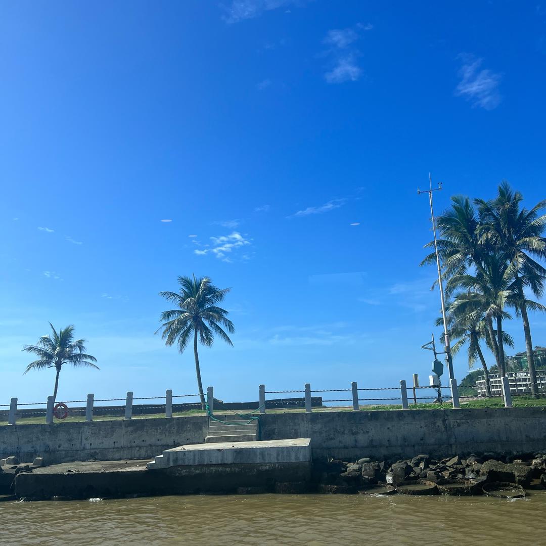 赵珊珊