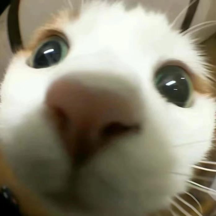 当时只道是寻常