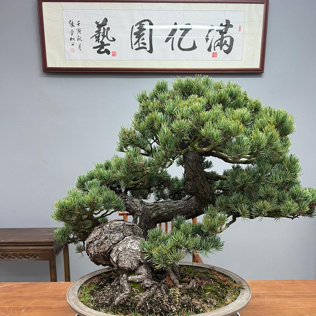 满亿园艺千亿2店