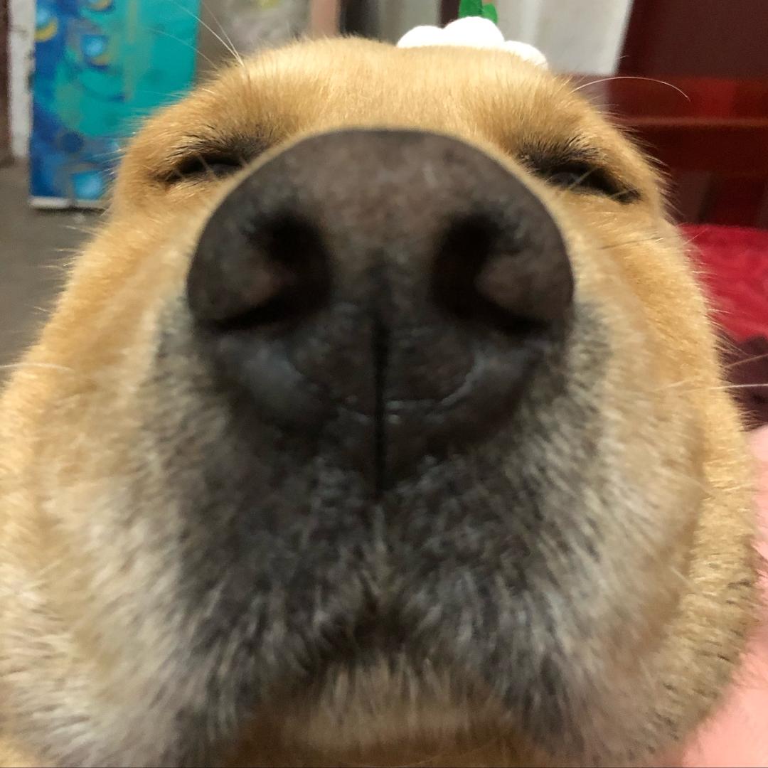 沈汐颜（回归阳间）