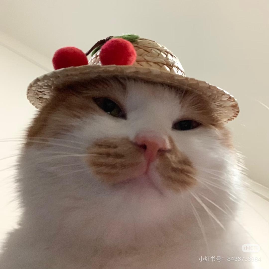 猫咪口水