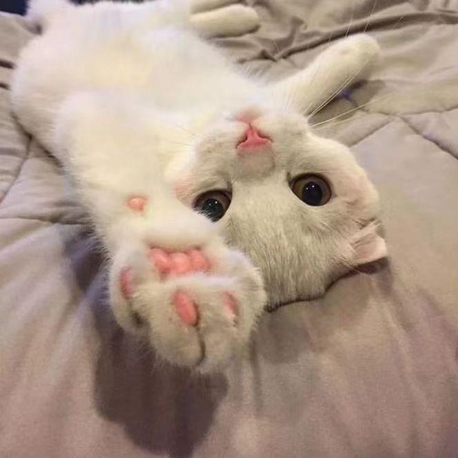 民勤桌尚台球俱乐部