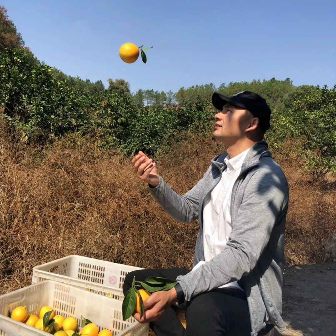 柳柳脐橙