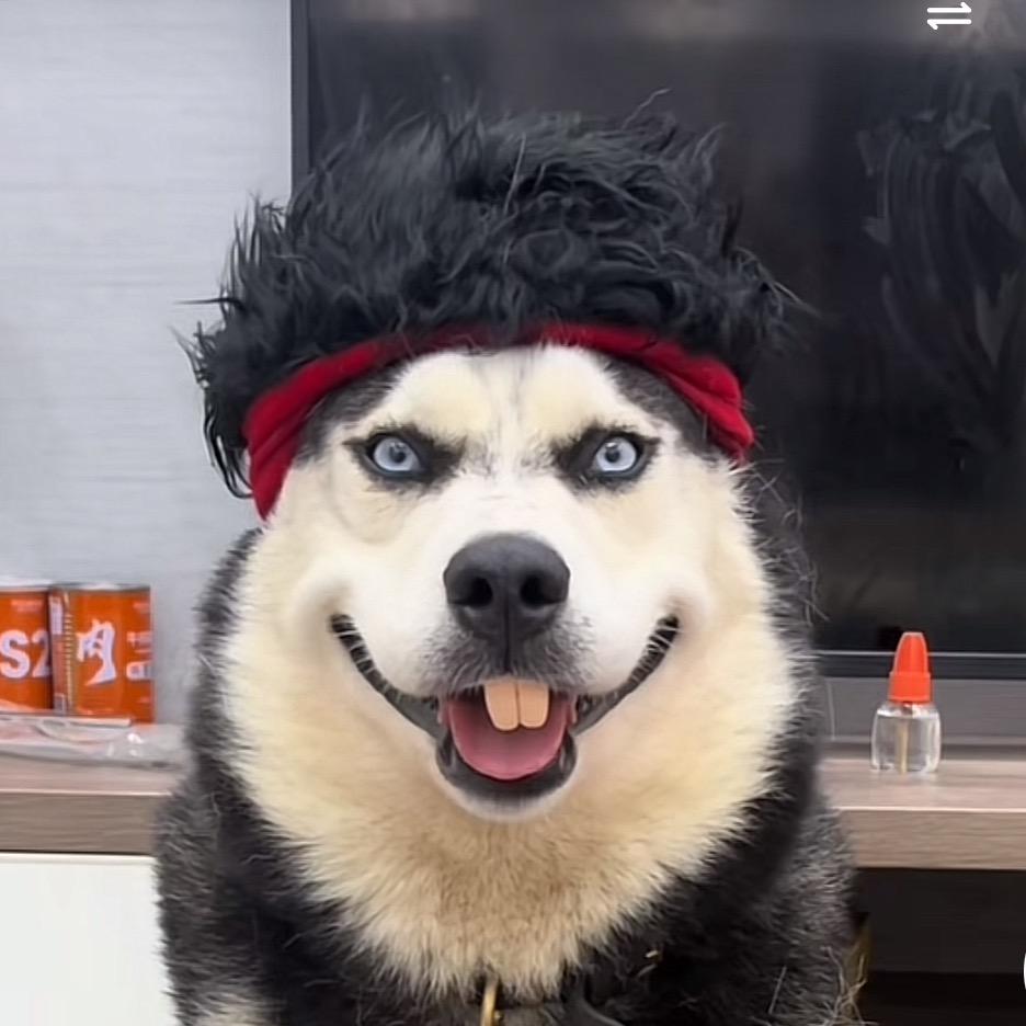 🪝三筒🪝