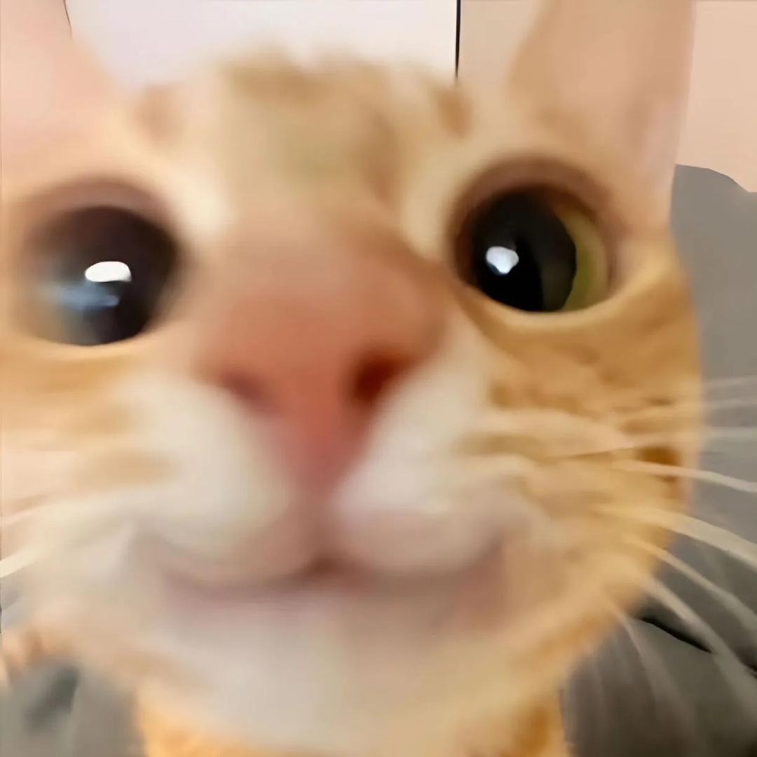 曼波(王者荣耀)