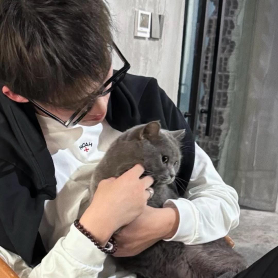 睡个好觉😴💤