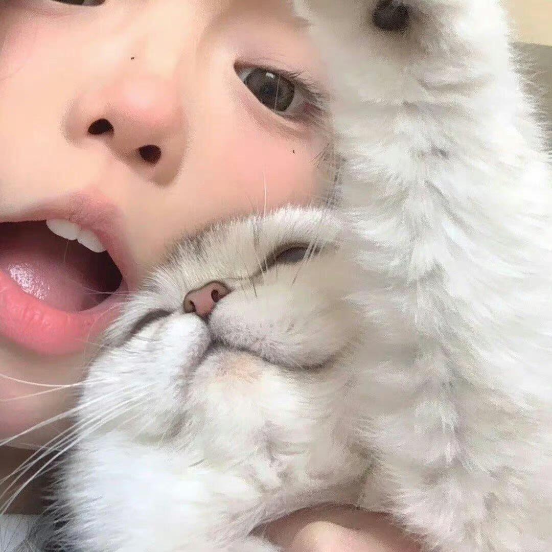 小糕松饼