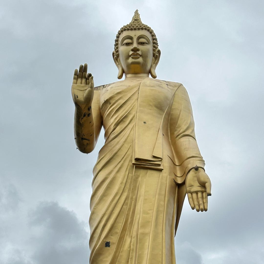 杨凯
