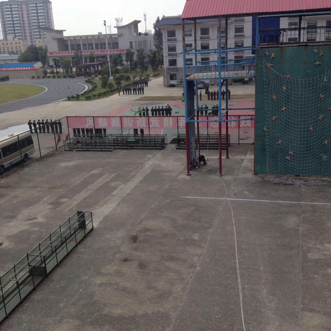 随风回顾