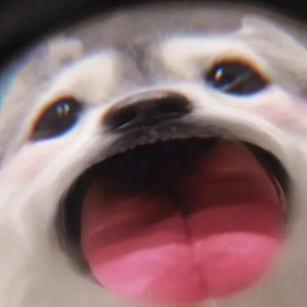慕城