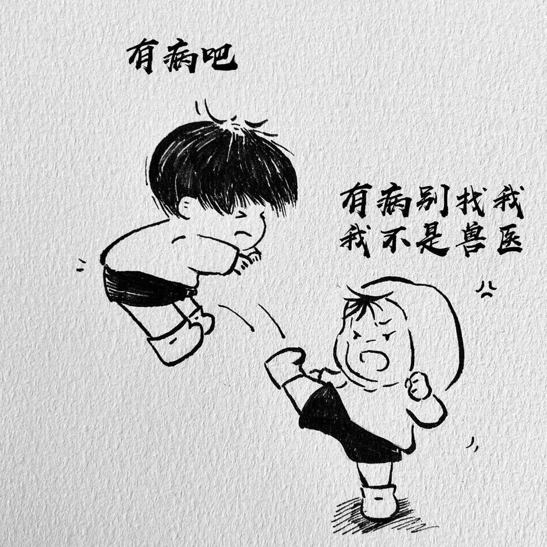 影子