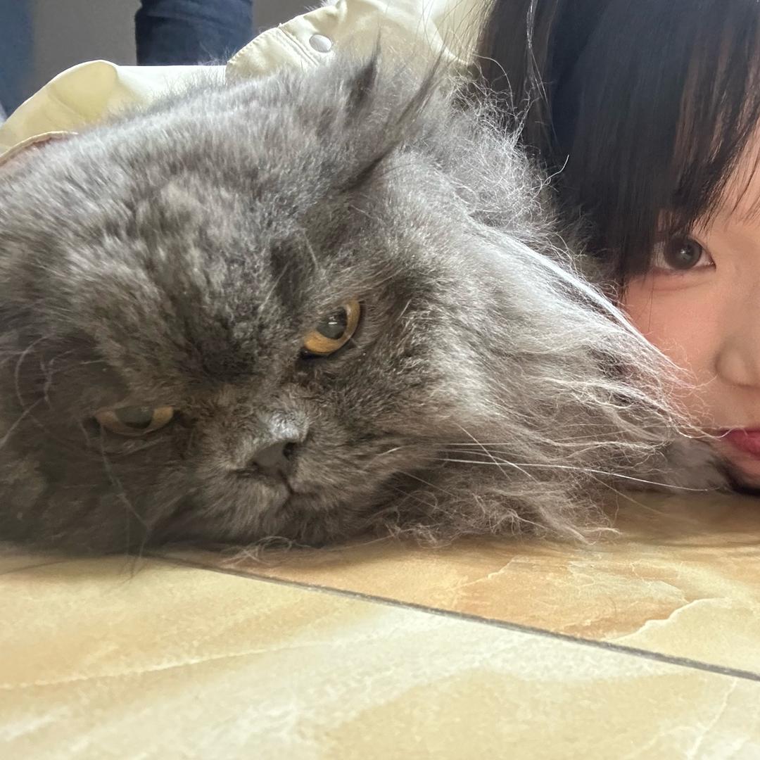 张张日记本