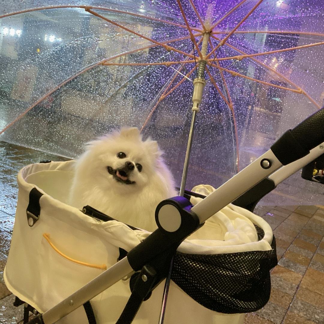 @嘿  大小姐.