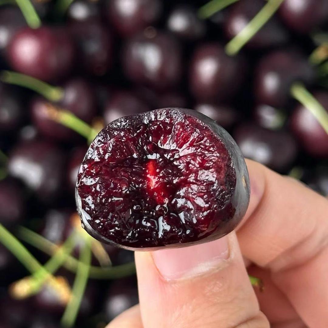 红姐爆鲜车厘子