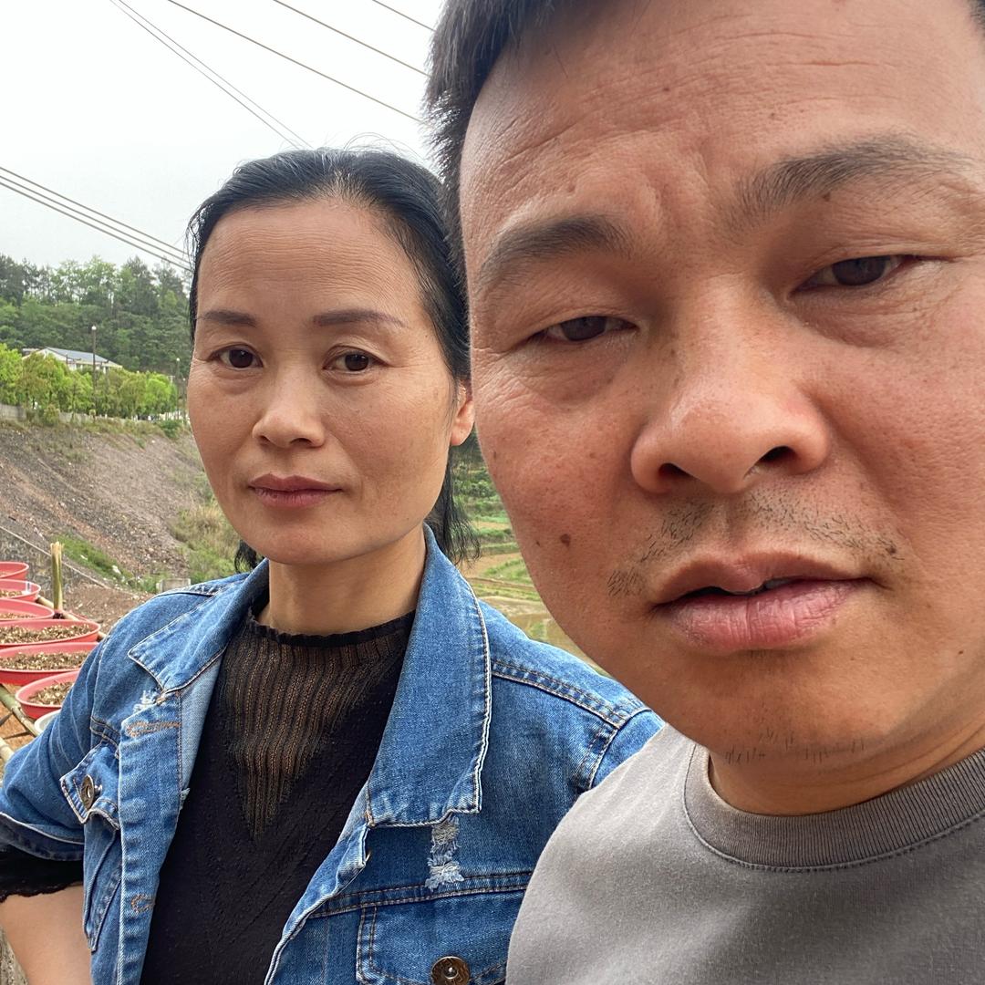 连姐泡酒料(老杨徒弟)