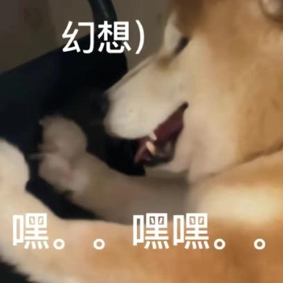 二狗子ergou