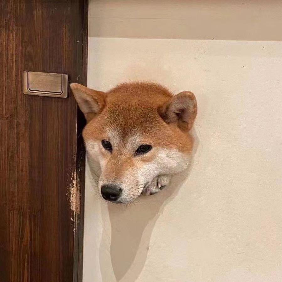 🌈🌈元气少女 🌈郭德纲🌈