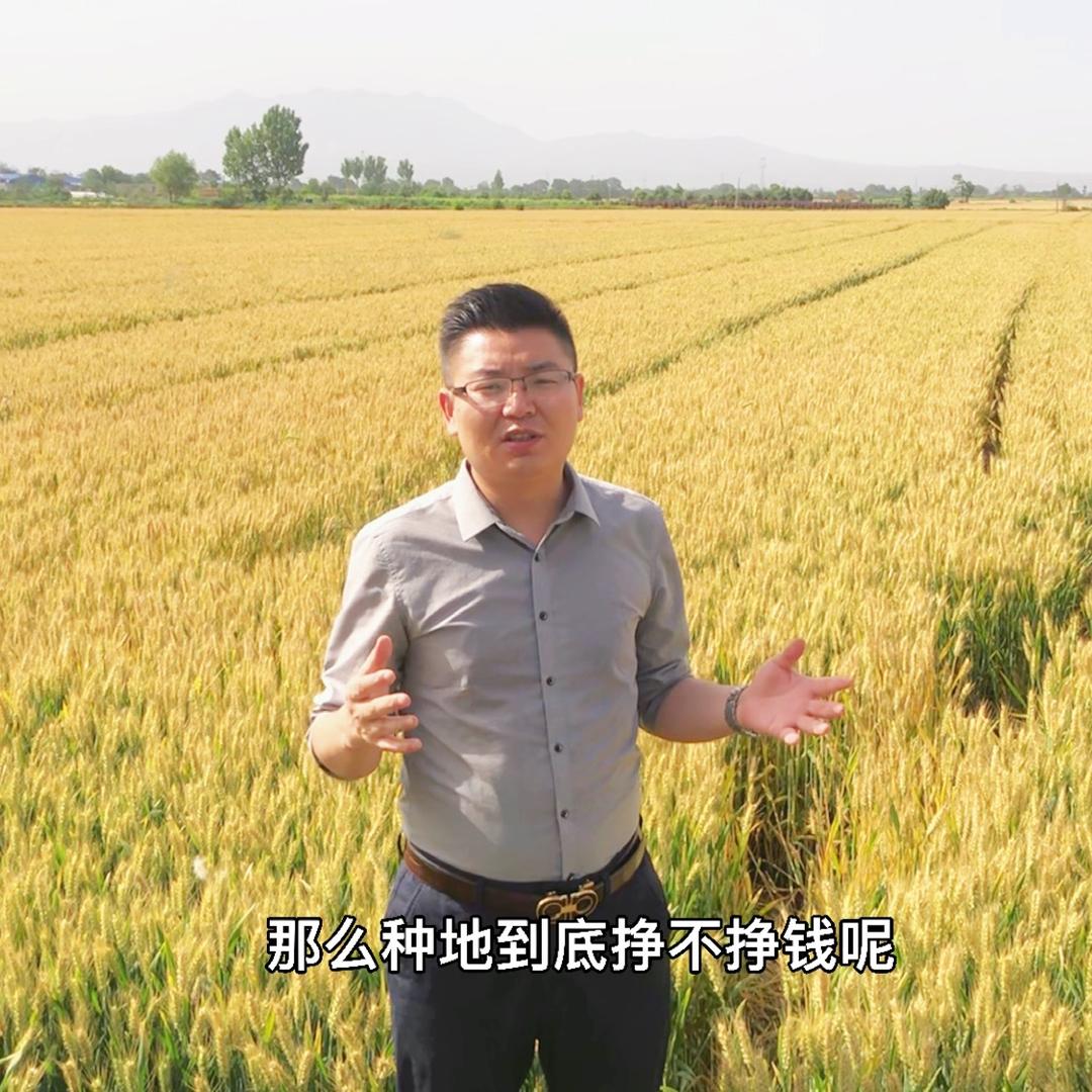 新农人老陈