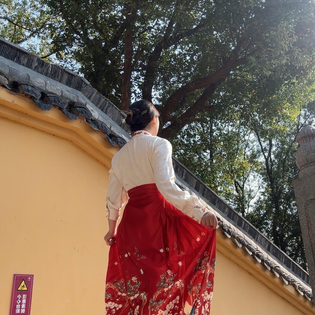 拾忆🍃