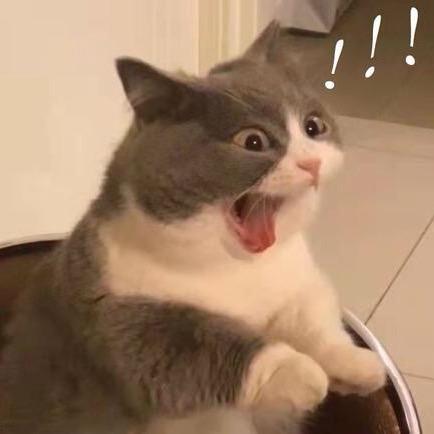 💍慧慧头像