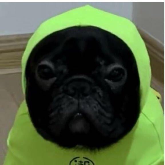 Di_开心