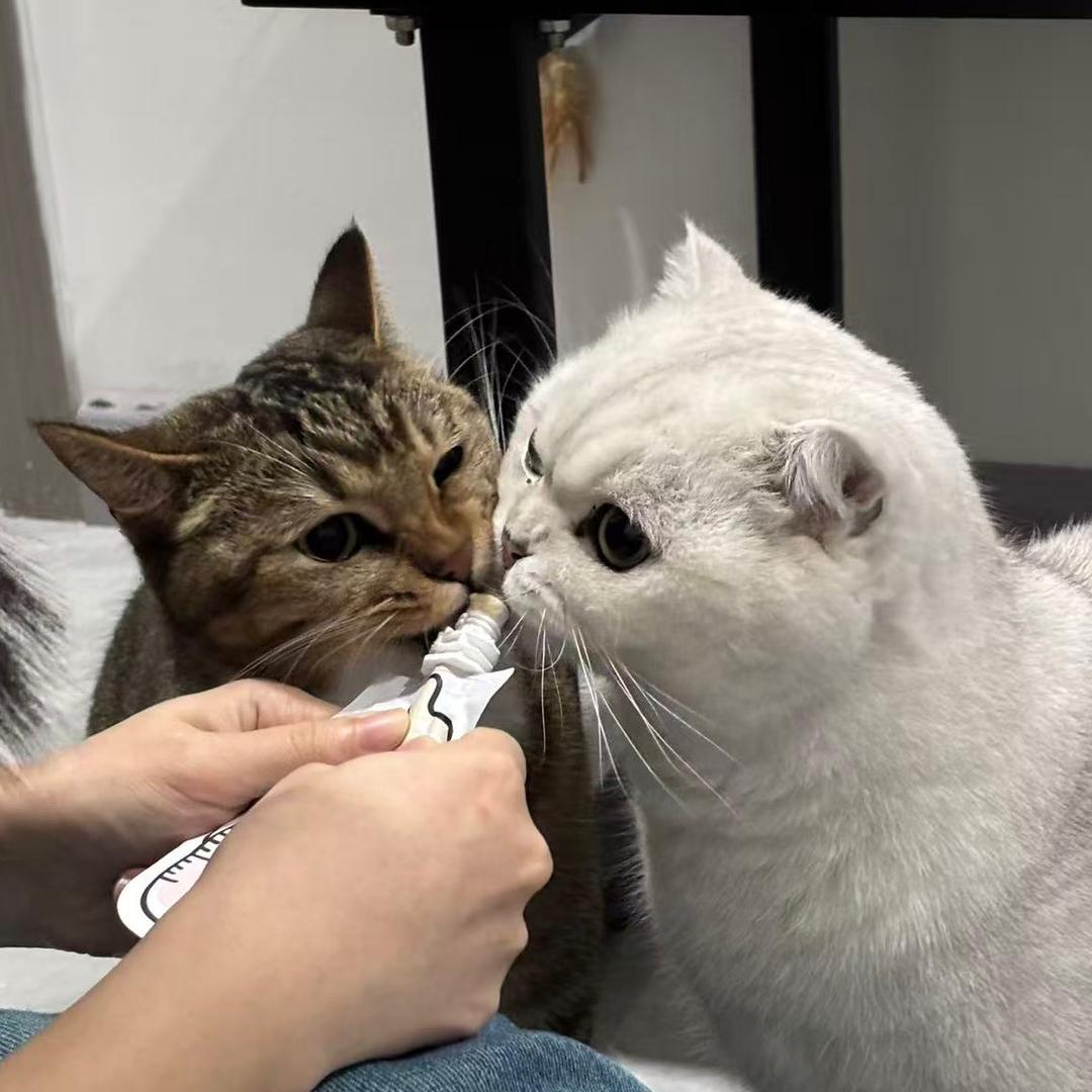 我才不是大嗓门