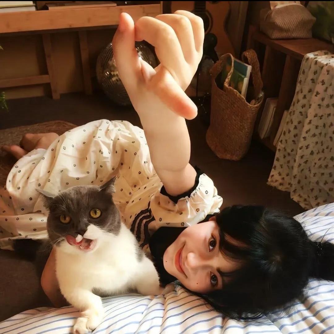 布偶🐱
