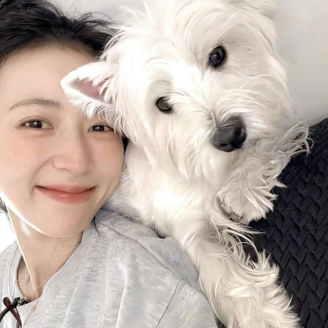 我许愿我天天开心