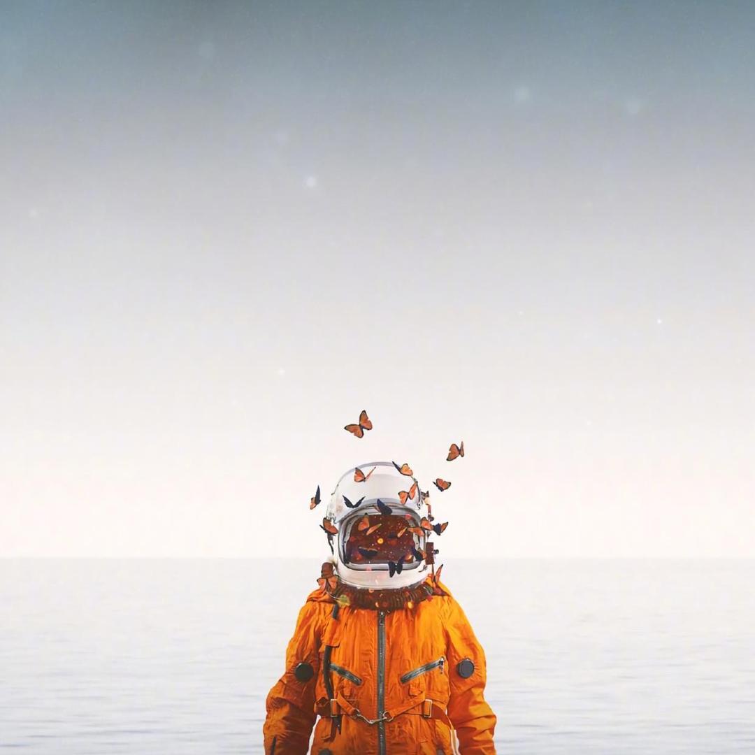 🍂