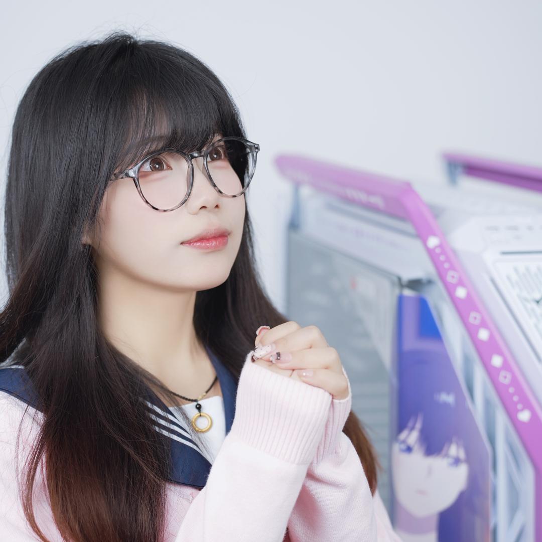 他电的猪（DIY电脑）