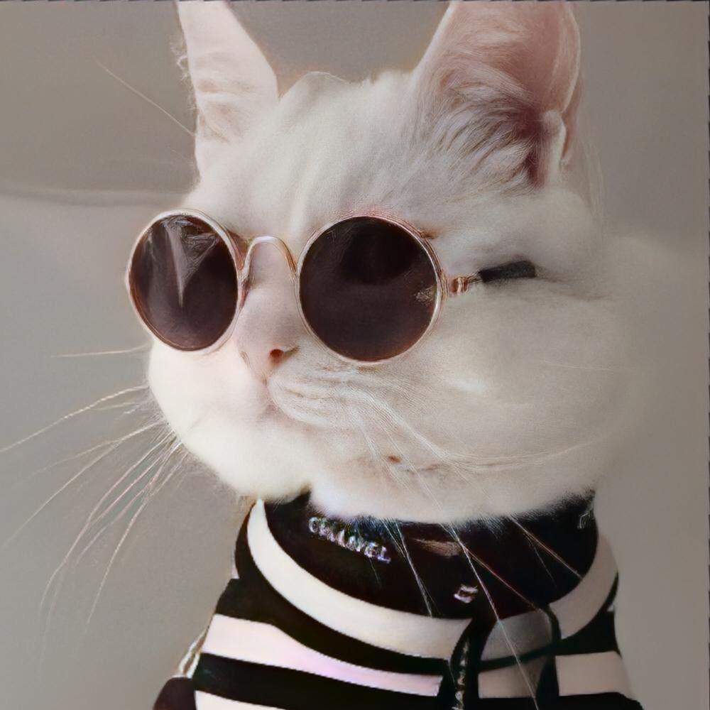 SYD～Tk平台面单～Jack