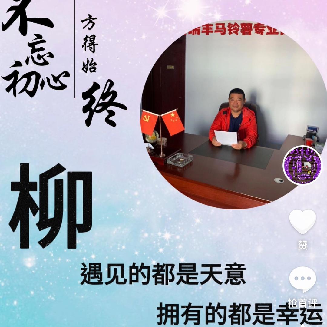 青岛吉瑞丰薯业