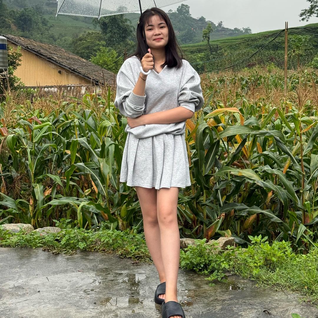 越南女婿金隆