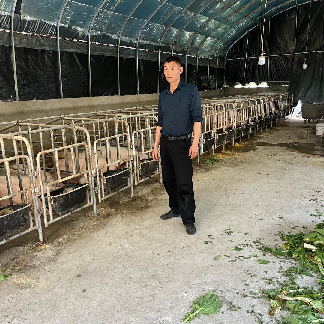 金猪财神【21:30】开播