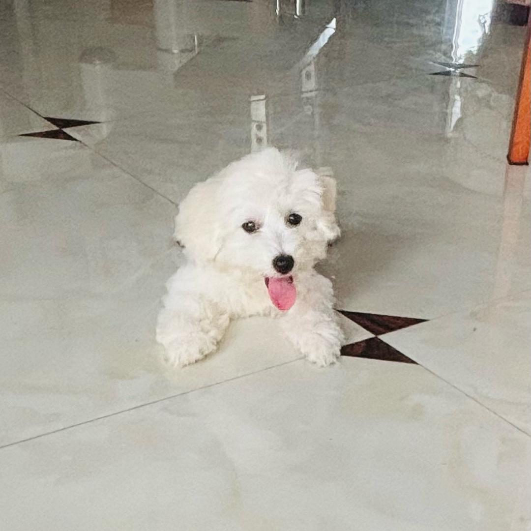 暮色