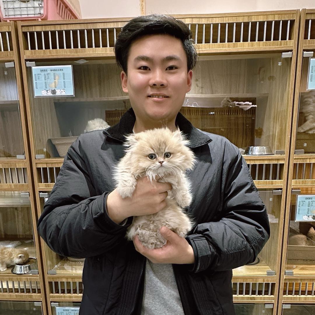 大壮不加班