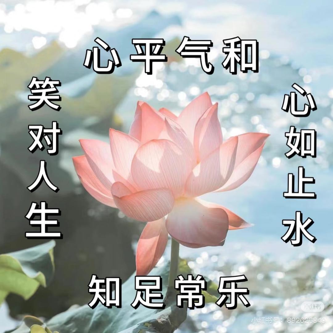 我是李飞