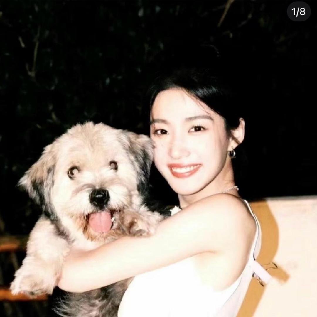 灰太狼大王
