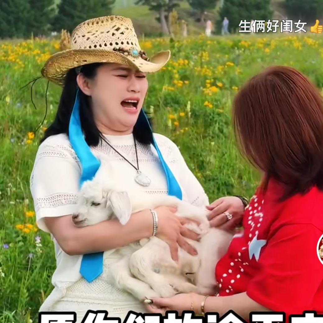 七七好物爆款机制