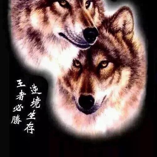 @郝亭亭