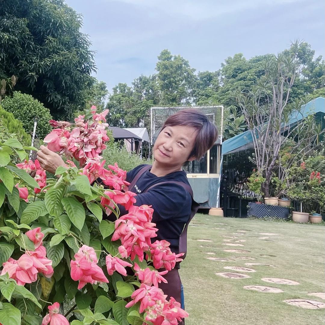 顺德开心园植物花店