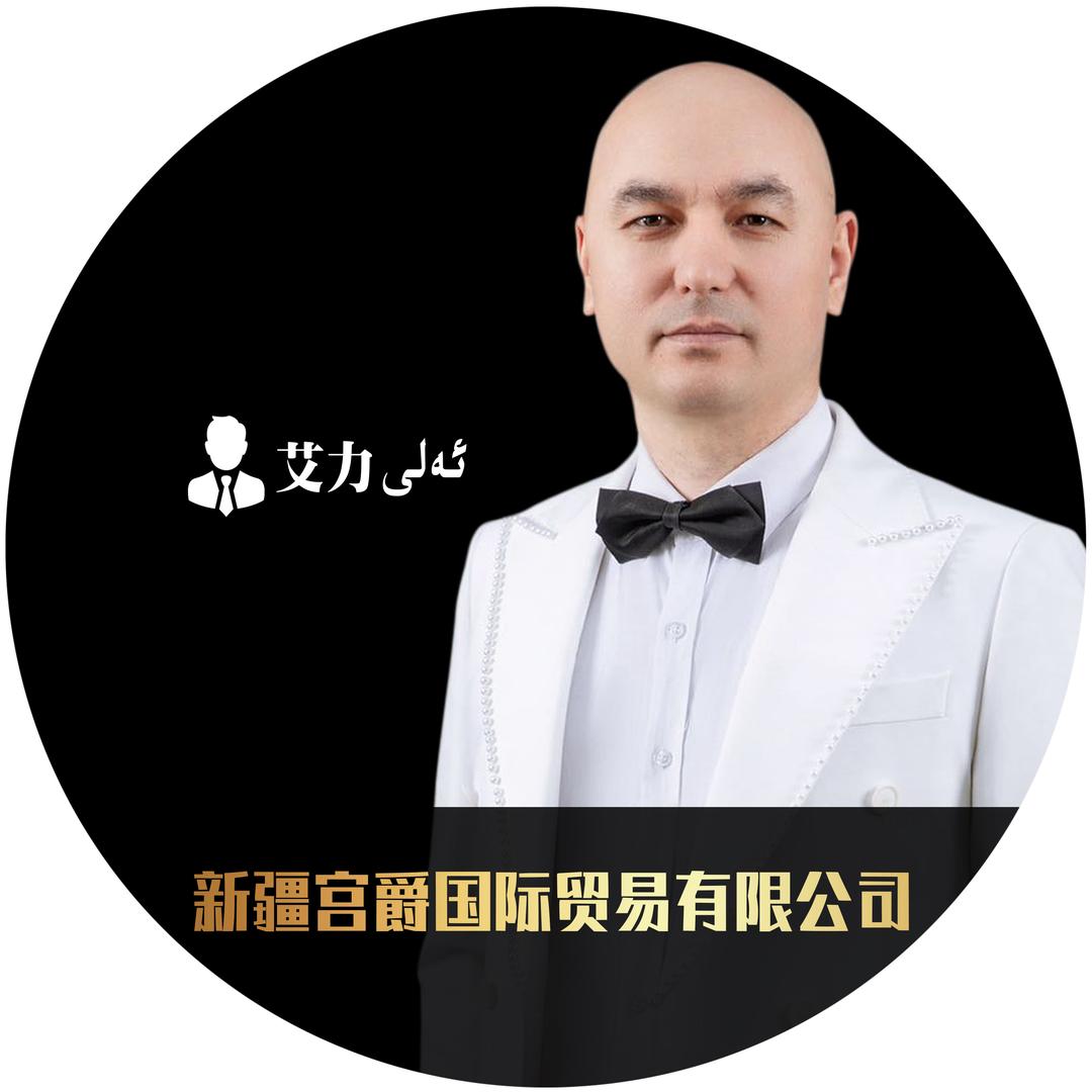 SHAHORDA家具ALI（2号）