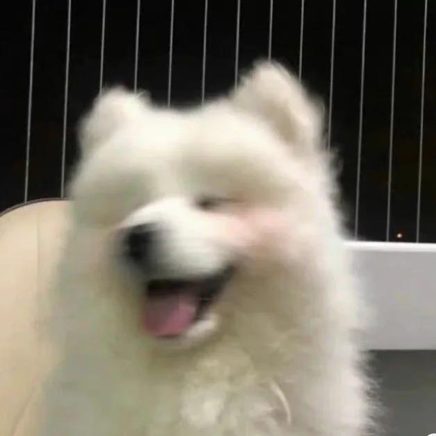 小气隐者可能是杀手